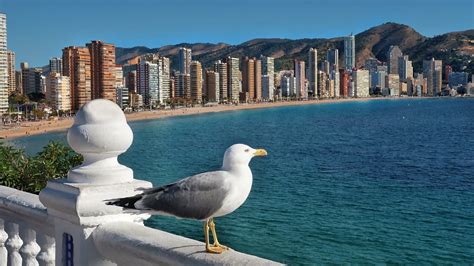 bares gays benidorm|Guía de Bares y Clubes Gay Benidorm 2025